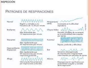INSPECCIÓN



   PATRONES DE RESPIRACIONES




                                ESM-IPN
                               44
 