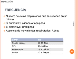 INSPECCIÓN



   FRECUENCIA
   Numero de ciclos respiratorios que se suceden en un
    minuto




                                                           ESM-IPN
   Si aumenta: Polipnea o taquipnea

   Si disminuye: Bradipnea

   Ausencia de movimientos respiratorios: Apnea



         EDAD                 FR
         Recién nacidos       30-45 Rpm
         Niño                 25- 30 Rpm
         Adolescente          18 a 26 Rpm
                                                          46
         Adulto               12 a 20 Rpm
 