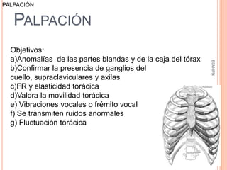 PALPACIÓN


   PALPACIÓN
  Objetivos:
  a)Anomalías de las partes blandas y de la caja del tórax




                                                              ESM-IPN
  b)Confirmar la presencia de ganglios del
  cuello, supraclaviculares y axilas
  c)FR y elasticidad torácica
  d)Valora la movilidad torácica
  e) Vibraciones vocales o frémito vocal
  f) Se transmiten ruidos anormales
  g) Fluctuación torácica


                                                             50
 