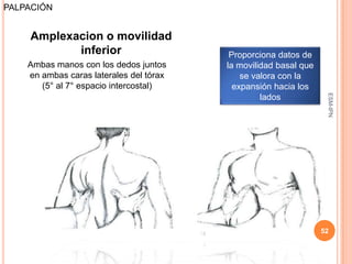 PALPACIÓN


    Amplexacion o movilidad
           inferior                       Proporciona datos de
    Ambas manos con los dedos juntos     la movilidad basal que
    en ambas caras laterales del tórax       se valora con la
       (5° al 7° espacio intercostal)      expansión hacia los




                                                                   ESM-IPN
                                                  lados




                                                                  52
 