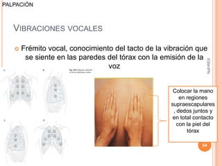 PALPACIÓN



   VIBRACIONES VOCALES

      Frémito vocal, conocimiento del tacto de la vibración que
        se siente en las paredes del tórax con la emisión de la




                                                                  ESM-IPN
                                 voz


                                                     Colocar la mano
                                                        en regiones
                                                    supraescapulares
                                                     , dedos juntos y
                                                     en total contacto
                                                       con la piel del
                                                           tórax

                                                                54
 