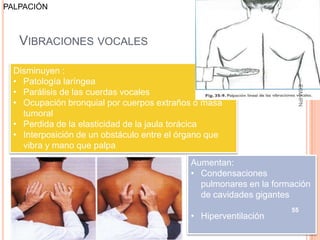 PALPACIÓN



   VIBRACIONES VOCALES

  Disminuyen :
  • Patología laríngea




                                                                     ESM-IPN
  • Parálisis de las cuerdas vocales
  • Ocupación bronquial por cuerpos extraños o masa
    tumoral
  • Perdida de la elasticidad de la jaula torácica
  • Interposición de un obstáculo entre el órgano que
    vibra y mano que palpa
                                             Aumentan:
                                             • Condensaciones
                                               pulmonares en la formación
                                               de cavidades gigantes
                                                                    55
                                             • Hiperventilación
 