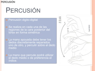 PERCUSIÓN



   PERCUSIÓN
      Percusión digito-digital




                                                ESM-IPN
      Se realiza en cada una de las
       regiones de la cara posterior del
       tórax en forma simétrica

      La mano apoyada debe tener los
       dedos discretamente separados
       uno de otro, y percutir sobre el dedo
       medio

      La mano que percute podrá utilizar
       el dedo medio o de preferencia el
       índice.                                 56
 