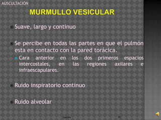AUSCULTACIÓN




    Suave,     largo y continuo

    Se percibe en todas las partes en que el pulmón
     esta en contacto con la pared torácica.
         Cara anterior en           los    dos primeros espacios
          intercostales,   en         las    regiones axilares  e
          infraescapulares.


    Ruido     inspiratorio continuo

    Ruido     alveolar

                           ESM-IPN                     75
 