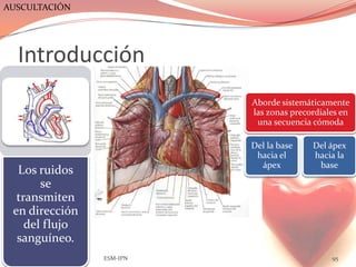 AUSCULTACIÓN




  Introducción
                          Aborde sistemáticamente
                          las zonas precordiales en
                           una secuencia cómoda

                          Del la base    Del ápex
                           hacia el      hacia la
                            ápex          base
  Los ruidos
       se
  transmiten
 en dirección
    del flujo
  sanguíneo.
                ESM-IPN                       95
 