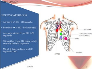 AUSCULTACIÓN




FOCOS CARDIACOS

• Aórtico  2° EIC - LPE derecha

• Pulmonar  2° EIC - LPE izquierda

• Accesorio aórtico  3er EIC -LPE
  izquierda

• Tricuspideo  4to EIC borde inf. del
  esternón del lado izquierdo

• Mitral  ápex cardiaco, 5to EIC
  izquierdo LMC




                          ESM-IPN        97
 