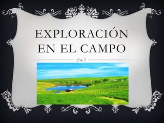 EXPLORACIÓN
EN EL CAMPO

 