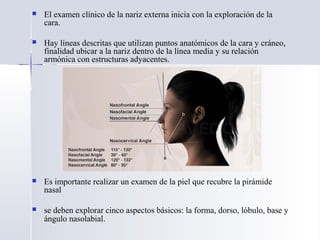  El examen clínico de la nariz externa inicia con la exploración de la
cara.
 Hay líneas descritas que utilizan puntos anatómicos de la cara y cráneo,
finalidad ubicar a la nariz dentro de la línea media y su relación
armónica con estructuras adyacentes.
 Es importante realizar un examen de la piel que recubre la pirámide
nasal
 se deben explorar cinco aspectos básicos: la forma, dorso, lóbulo, base y
ángulo nasolabial.
 