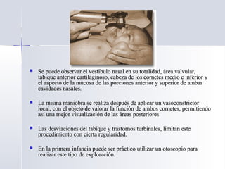  Se puede observar el vestíbulo nasal en su totalidad, área valvular,Se puede observar el vestíbulo nasal en su totalidad, área valvular,
tabique anterior cartilaginoso, cabeza de los cornetes medio e inferior ytabique anterior cartilaginoso, cabeza de los cornetes medio e inferior y
el aspecto de la mucosa de las porciones anterior y superior de ambasel aspecto de la mucosa de las porciones anterior y superior de ambas
cavidades nasales.cavidades nasales.
 La misma maniobra se realiza después de aplicar un vasoconstrictorLa misma maniobra se realiza después de aplicar un vasoconstrictor
local, con el objeto de valorar la función de ambos cornetes, permitiendolocal, con el objeto de valorar la función de ambos cornetes, permitiendo
así una mejor visualización de las áreas posterioresasí una mejor visualización de las áreas posteriores
 Las desviaciones del tabique y trastornos turbinales, limitan esteLas desviaciones del tabique y trastornos turbinales, limitan este
procedimiento con cierta regularidad.procedimiento con cierta regularidad.
 En la primera infancia puede ser práctico utilizar un otoscopio paraEn la primera infancia puede ser práctico utilizar un otoscopio para
realizar este tipo de exploración.realizar este tipo de exploración.
 