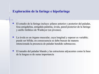 Exploración de la faringe e hipofaringe
 El estudio de la faringe incluye: pilares anterior y posterior del paladar,El estudio de la faringe incluye: pilares anterior y posterior del paladar,
fosa amigdalina, amígdala palatina, úvula, pared posterior de la faringefosa amigdalina, amígdala palatina, úvula, pared posterior de la faringe
y anillo linfático de Waldeyer (en jóvenes).y anillo linfático de Waldeyer (en jóvenes).
 La úvula es un órgano muscular, cuya longitud y espesor es variable;La úvula es un órgano muscular, cuya longitud y espesor es variable;
puede ser bífida; en consecuencia se debe buscar de manerapuede ser bífida; en consecuencia se debe buscar de manera
intencionada la presencia de paladar hendido submucoso.intencionada la presencia de paladar hendido submucoso.
 El tamaño del paladar blando y las estructuras adyacentes como la baseEl tamaño del paladar blando y las estructuras adyacentes como la base
de la lengua es de suma importanciade la lengua es de suma importancia
 