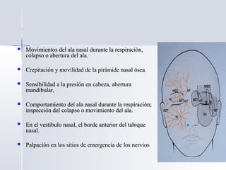  Movimientos del ala nasal durante la respiración,Movimientos del ala nasal durante la respiración,
colapso o abertura del ala.colapso o abertura del ala.
 Crepitación y movilidad de la pirámide nasal ósea.Crepitación y movilidad de la pirámide nasal ósea.
 Sensibilidad a la presión en cabeza, aberturaSensibilidad a la presión en cabeza, abertura
mandibular,mandibular,
 Comportamiento del ala nasal durante la respiración;Comportamiento del ala nasal durante la respiración;
inspección del colapso o movimiento del ala.inspección del colapso o movimiento del ala.
 En el vestíbulo nasal, el borde anterior del tabiqueEn el vestíbulo nasal, el borde anterior del tabique
nasal.nasal.
 Palpación en los sitios de emergencia de los nerviosPalpación en los sitios de emergencia de los nervios
 