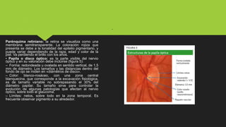 Parénquima retiniano: la retina se visualiza como una
membrana semitransparente. La coloración rojiza que
presenta se debe a la tonalidad del epitelio pigmentario, y
puede variar dependiendo de la raza, edad y color de la
piel. Va perdiendo el brillo con los años.
• Papila o disco óptico: es la parte visible del nervio
óptico y en su valoración debe incluirse (figura 5):
– Forma: redondeada u ovalada en sentido vertical, de 1,5
mm de diámetro. Los tamaños y las distancias dentro del
fondo de ojo se miden en «diámetros de disco».
– Color: blanco-rosáceo, con una zona central
blanquecina, que corresponde a la excavación fisiológica,
es de tamaño variable no sobrepasando el 30% del
diámetro papilar. Su tamaño sirve para controlar la
evolución de algunas patologías que afectan al nervio
óptico, sobre todo el glaucoma.
– Límites: netos, sobre todo en la zona temporal. Es
frecuente observar pigmento a su alrededor.
•
 