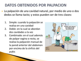  La palpación de una cavidad natural, por medio de uno o dos
dedos se llama tacto; y estos pueden ser de tres clases:
1. Simple: cuando la palpación se
realiza en una cavidad
2. Doble: en la cual se abordan
dos cavidades a la vez
3. Combinado: en el cual además
de palpar vagina o recto, se
realiza la palpación manual de
la pared anterior del abdomen
por encima de la sínfisis del
pubis
 