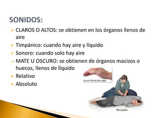  CLAROS O ALTOS: se obtienen en los órganos llenos de
aire
 Timpánico: cuando hay aire y líquido
 Sonoro: cuando solo hay aire
 MATE U OSCURO: se obtienen de órganos macizos o
huecos, llenos de líquido
 Relativo
 Absoluto
 