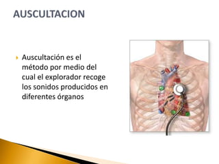  Auscultación es el
método por medio del
cual el explorador recoge
los sonidos producidos en
diferentes órganos
 