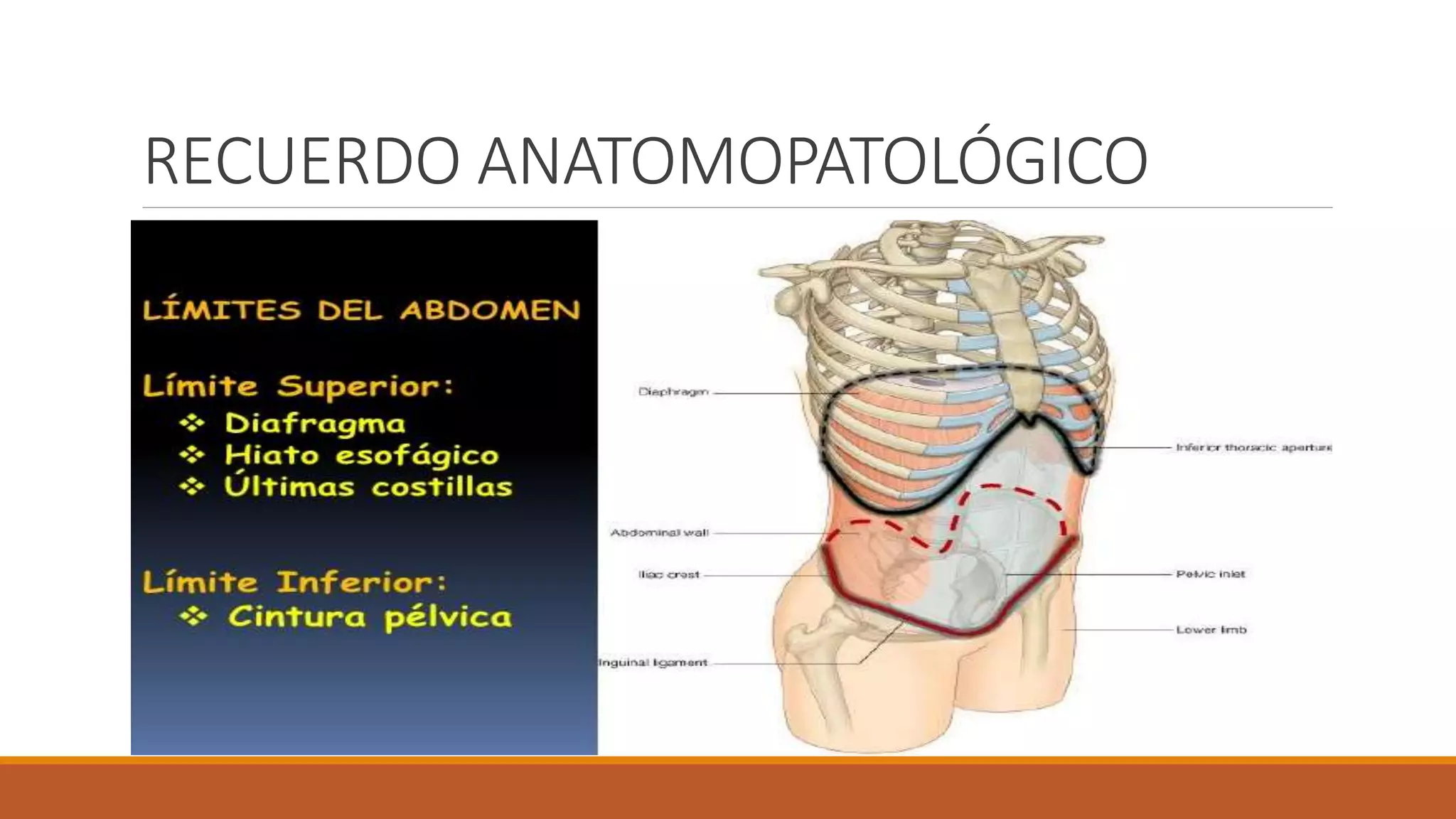 EXPLORACIÓN FÍSICA DE ABDOMEN.pptx