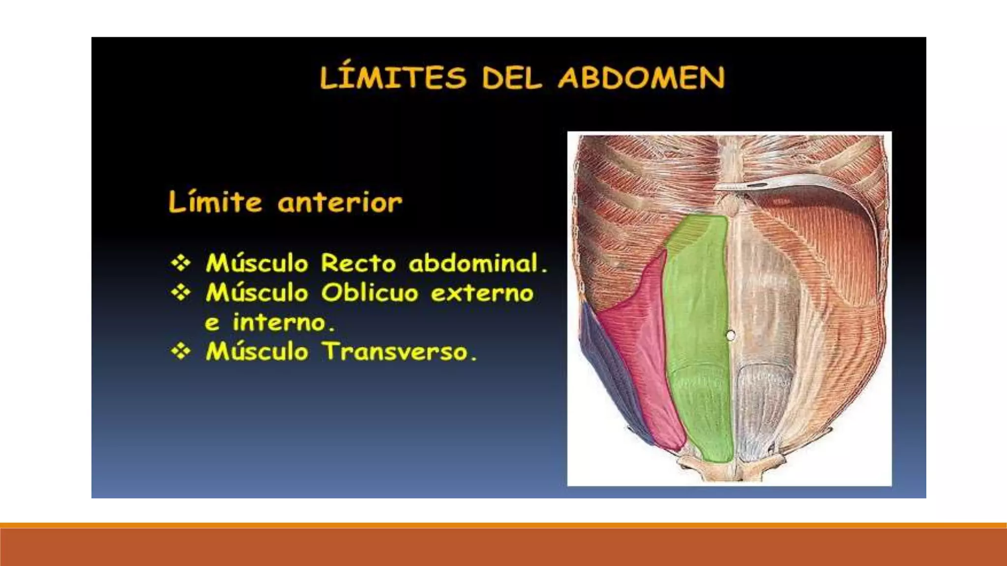 EXPLORACIÓN FÍSICA DE ABDOMEN.pptx