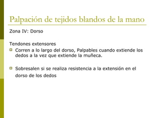 Palpación de tejidos blandos de la mano
Zona IV: Dorso
Tendones extensores
 Corren a lo largo del dorso, Palpables cuando extiende los
dedos a la vez que extiende la muñeca.
 Sobresalen si se realiza resistencia a la extensión en el
dorso de los dedos
 