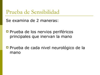 Prueba de Sensibilidad
Se examina de 2 maneras:
 Prueba de los nervios periféricos
principales que inervan la mano
 Prueba de cada nivel neurológico de la
mano
 