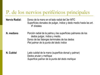 P. de los nervios periféricos principales
Nervio Radial: Dorso de la mano en el lado radial del 3er MTC
Superficies dorsales de pulgar, índice y dedo medio hasta las art.
IF dístales
N. mediano Porción radial de la palma y las superficies palmares de los
dedos pulgar, índice y medio.
Dorso de las falanges terminales de los dedos
Piel palmar de la punta del dedo índice
N. Cubital Lado cubital de la mano (superficie dorsal y palmar)
Dedos anular y meñique
Superficie palmar de la punta del dedo meñique
 
