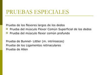 PRUEBAS ESPECIALES
Prueba de los flexores largos de los dedos
 Prueba del músculo Flexor Común Superficial de los dedos
 Prueba del músculo flexor común profundo
Prueba de Bunnel- Littler (m. intrínsecos)
Prueba de los Ligamentos retinaculares
Prueba de Allen
 