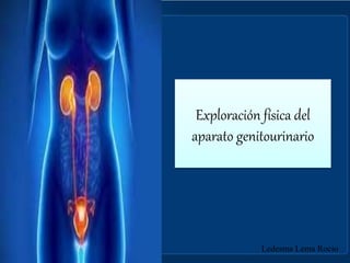 Exploración física del
aparato genitourinario
Ledesma Lema Rocio
 