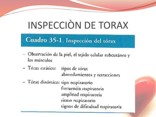 INSPECCIÒN DE TORAX
 
