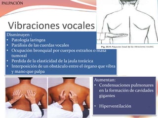 Vibraciones vocales
Disminuyen :
• Patología laríngea
• Parálisis de las cuerdas vocales
• Ocupación bronquial por cuerpos extraños o masa
tumoral
• Perdida de la elasticidad de la jaula torácica
• Interposición de un obstáculo entre el órgano que vibra
y mano que palpa
Aumentan:
• Condensaciones pulmonares
en la formación de cavidades
gigantes
• Hiperventilación 20
PALPACIÓN
 