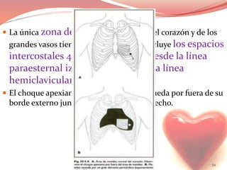  La única zona de matidez normal del corazón y de los
grandes vasos tiene forma rectangular, incluye los espacios
intercostales 4º y 5º y se extiende desde la línea
paraesternal izquierda hasta casi la línea
hemiclavicular del mismo lado.
 El choque apexiano cuando es palpable queda por fuera de su
borde externo junto al ángulo inferior derecho.
54
 