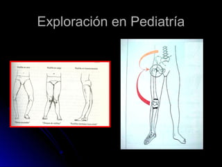 Exploración en Pediatría

 