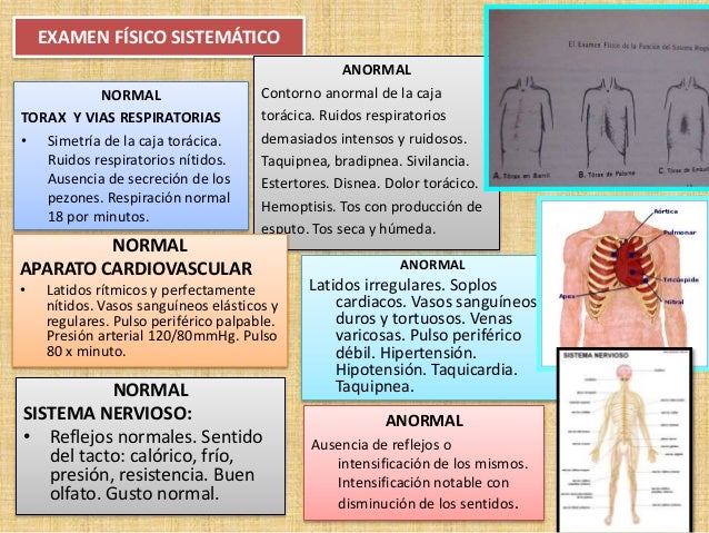 Exploración física
