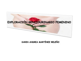 EXPLORACIÓN GENITOURINARIO FEMENINO
KARIN ANDREA MARTÍNEZ BELEÑO
 