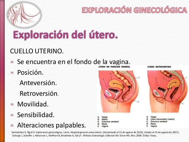 Resultado de imagen para ExÃ¡menes del cuello uterino o cÃ©rvix