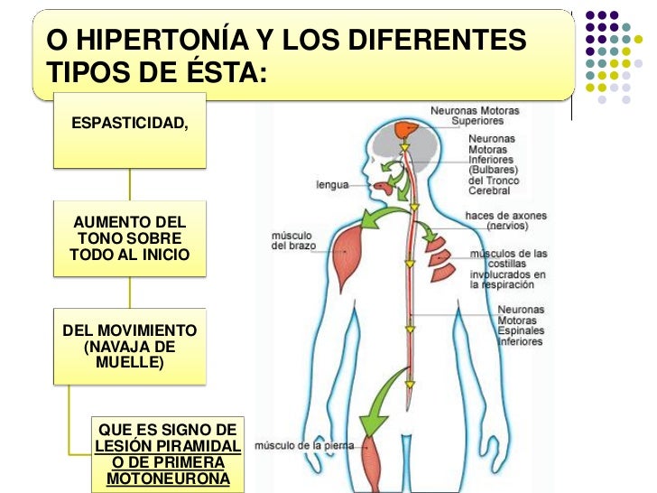 Exploración neurológica