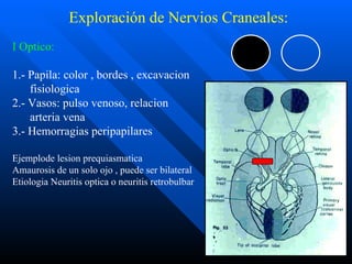 exploraci-n-neurol-gica-08-ppt