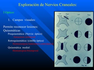 exploraci-n-neurol-gica-08-ppt