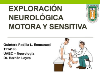 EXPLORACIÓN
NEUROLÓGICA
MOTORA Y SENSITIVA
Quintero Padilla L. Emmanuel
1214183
UABC – Neurología
Dr. Hernán Leyva
 