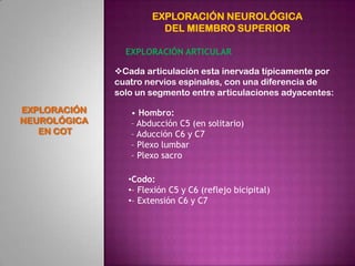 EXPLORACIÓN NEUROLÓGICA
                         DEL MIEMBRO SUPERIOR

                EXPLORACIÓN ARTICULAR

            ...
