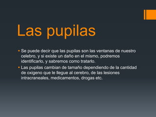 Las pupilas
 Se puede decir que las pupilas son las ventanas de nuestro
celebro, y si existe un daño en el mismo, podremos
identificarlo, y sabremos como tratarlo.
 Las pupilas cambian de tamaño dependiendo de la cantidad
de oxigeno que le llegue al cerebro, de las lesiones
intracraneales, medicamentos, drogas etc.
 