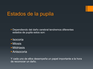 Estados de la pupila
 Dependiendo del daño cerebral tendremos diferentes
estados de pupila estos son:
Isocoria
Miosis
Midriasis
Anisocoria
Y cada uno de ellos desempeña un papel importante a la hora
de reconocer un daño.
 