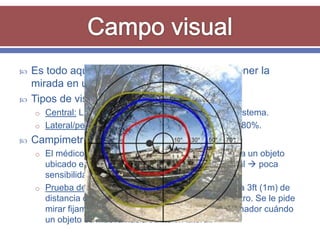    Es todo aquello que logra observarse al detener la
    mirada en un “punto de fijación”.
   Tipos de visión:
    o Central: Limitada, corta, solo precisa el 20% del sistema.
    o Lateral/periférica: Amplitud de casi 180°, utiliza el 80%.
   Campimetría:
    o El médico se coloca frente al paciente y le muestra un objeto
      ubicado en diferentes regiones de su campo visual  poca
      sensibilidad.
    o Prueba de Goldmann: El paciente debe sentarse a 3ft (1m) de
      distancia de una pantalla con una diana en el centro. Se le pide
      mirar fijamente al centro y hacerle saber al examinador cuándo
      un objeto se mueva hacia su visión lateral.
 