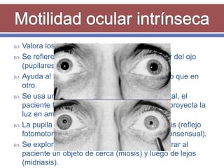    Valora los reflejos pupilares.
   Se refiere a explorar los músculos del interior del ojo
    (pupilares).
   Ayuda al Dx cuando la AV es menor en un ojo que en
    otro.
   Se usa una linterna, se reduce la luz ambiental, el
    paciente fija su visión hacia algo lejano y se proyecta la
    luz en ambos ojos, alternativamente.
   La pupila del ojo examinado presentará miosis (reflejo
    fotomotor), así como el del otro ojo (reflejo consensual).
   Se explora el reflejo de acomodación al mostrar al
    paciente un objeto de cerca (miosis) y luego de lejos
    (midriasis).
 