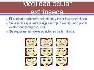    El paciente debe mirar al infinito y tener la cabeza fijada.
   Se le indica que mire y siga un objeto manipulado por el
    explorador (bolígrafo, luz).
   Se exploran las nueve posiciones de la mirada.
 