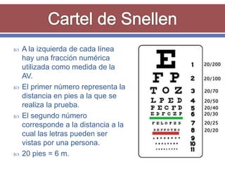    A la izquierda de cada línea
    hay una fracción numérica
    utilizada como medida de la
    AV.
   El primer número representa la
    distancia en pies a la que se
    realiza la prueba.
   El segundo número
    corresponde a la distancia a la
    cual las letras pueden ser
    vistas por una persona.
   20 pies = 6 m.
 