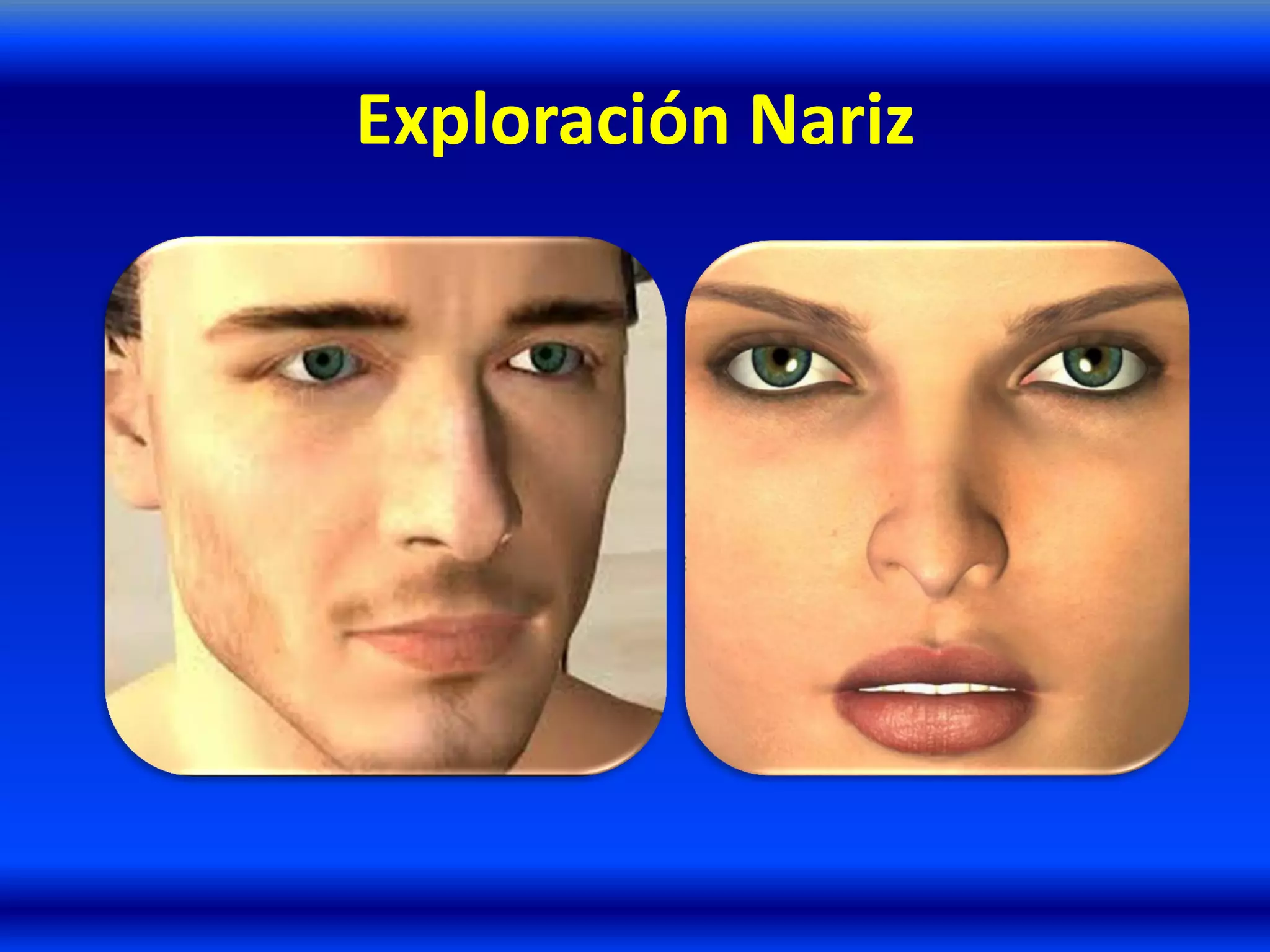 Exploración Nariz