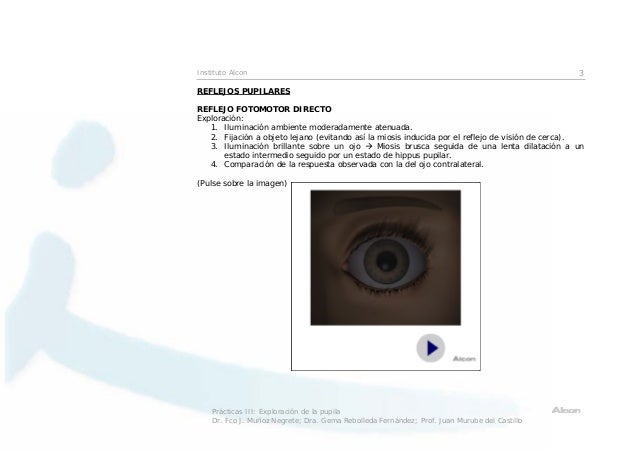hippus pupil