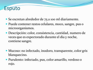 Esputo
 Se excretan alrededor de 75 a 100 ml diariamente.
 Puede contener restos celulares, moco, sangre, pus o
  microorganismos.
 Descripción: color, consistencia, cantidad, numero de
  veces que es expectorado durante el día y noche,
  contiene sangre.

 Mucoso: no infectado, inodoro, transparente, color gris
  blanquecino.
 Purulento: infectado, pus, color amarillo, verdoso o
  rojo.
 