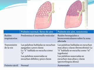 Pulmón normal, lleno de aire        Pulmón sin aire, neumonía
Ruidos           Predomina el murmullo vesicular     Ruidos bronquiales o
respiratorios                                        broncovesiculaares sobre la zona
                                                     afectada
Transmisión      Las palabras habladas se escuchan   Las palabras habladas se escuchan
de la voz        apagadas y poco claras              mas altas y claras (broncofonía) La
                 La “ii” hablada se escucha como     “ii” hablada se escucha como “ei”
                 “ii”                                (egofonía)
                 Las palabras susurradas se          Las palabras susurradas se
                 escuchan débiles y poco claras      escuchan mas altas y claras
                                                     (pectoriloquia áfona)
Frémito táctil   Normal                              Aumentado
 