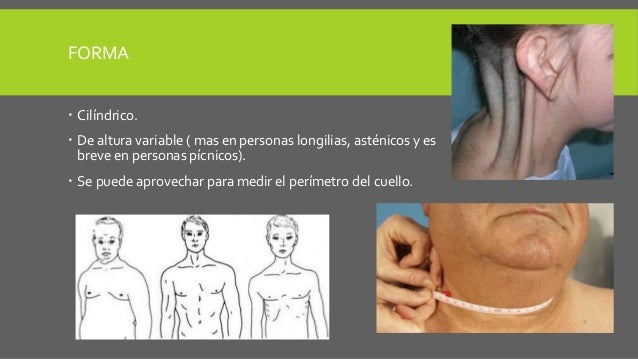 Exploracion fisica de cuello