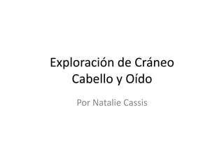 Exploración de CráneoCabello y Oído  Por Natalie Cassis  